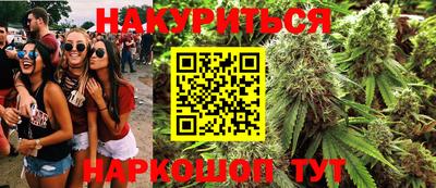 mdpv Брянск