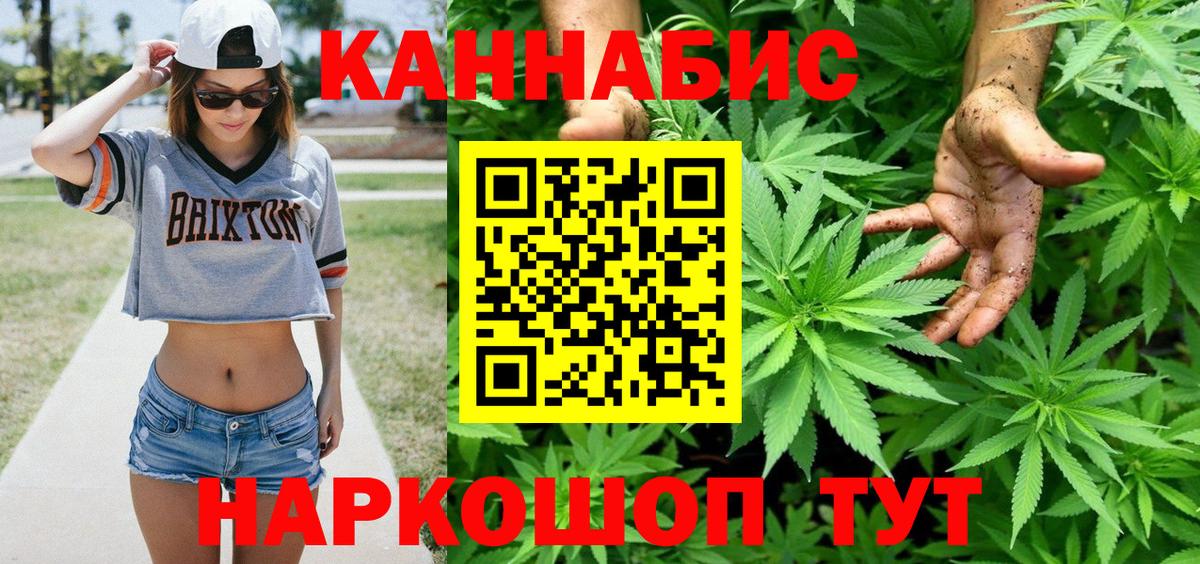 Конопля индика Боровичи